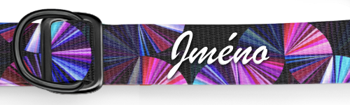 Personalizace Dog collar Basic Collection Prism