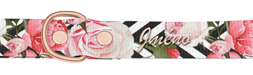 Personalizace Dog collar Basic Collection Roses