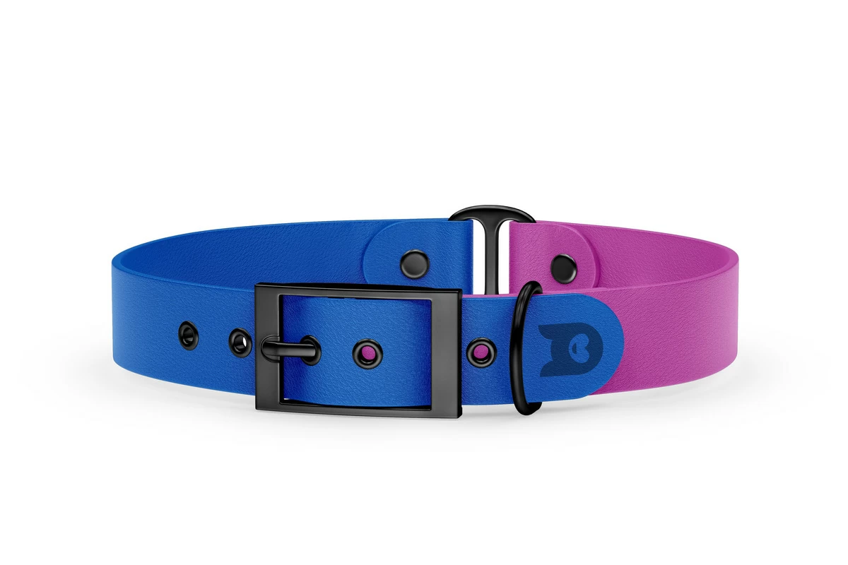 Obojek pro psa Duo - modrá / světle fialová s černými komponenty