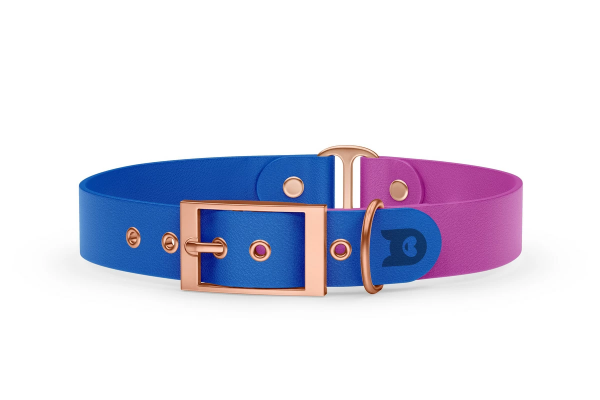 Obojek pro psa Duo - modrá / světle fialová s růžově zlatými komponenty