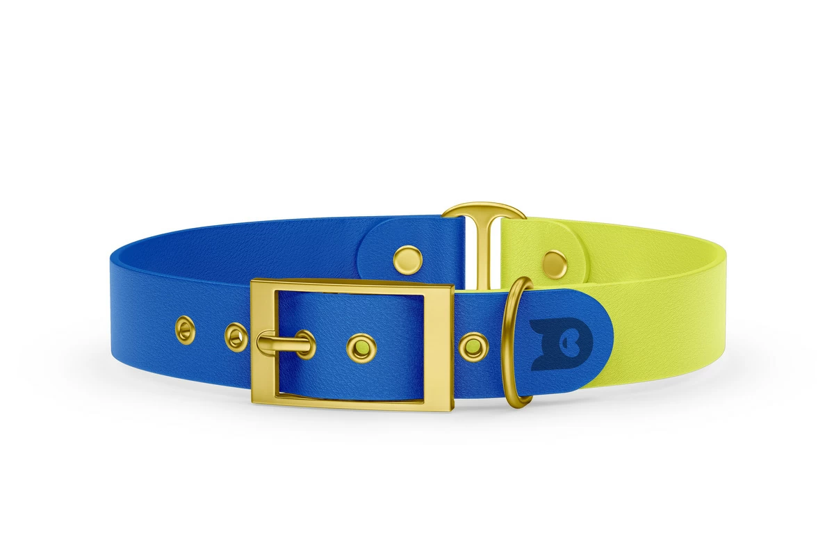 Obojek pro psa Duo - modrá / neonově žlutá se zlatými komponenty