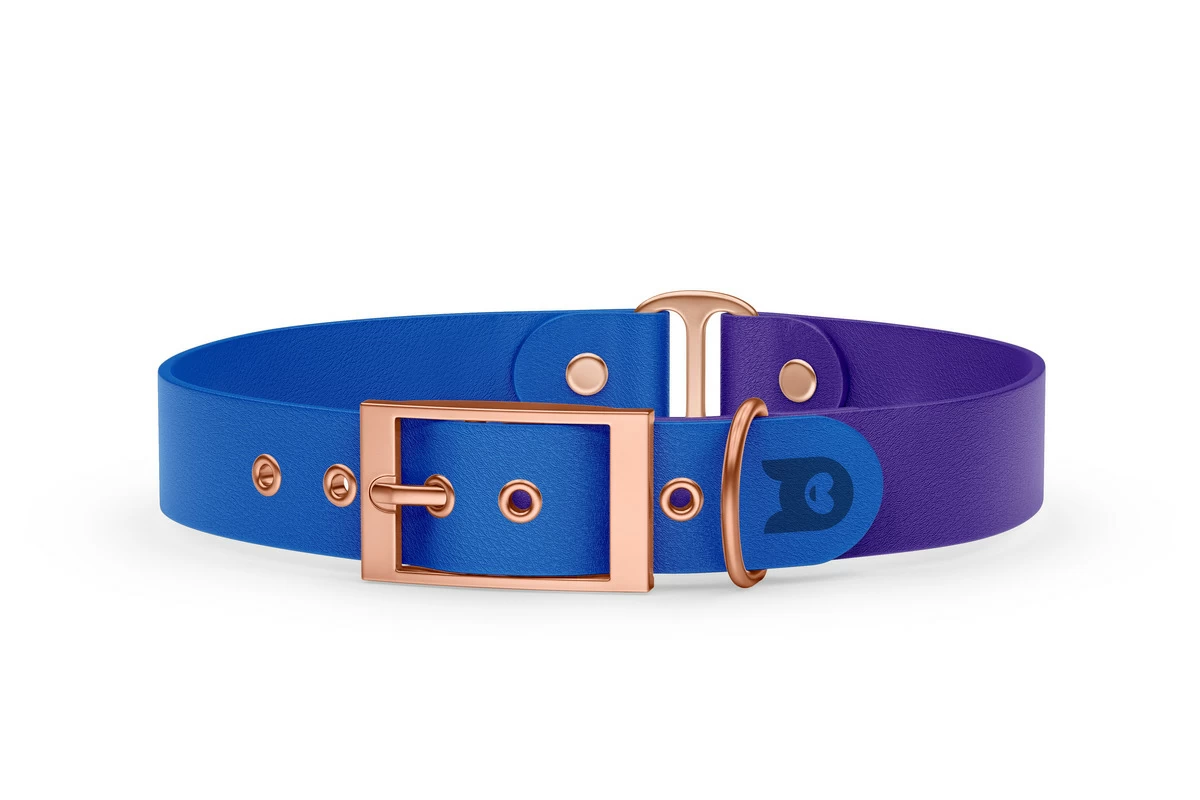 Obojek pro psa Duo - modrá / fialová s růžově zlatými komponenty
