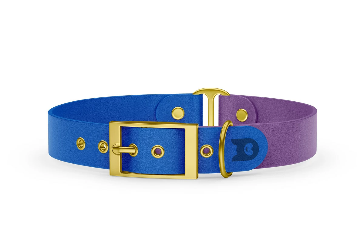 Obojek pro psa Duo - modrá / purpurová se zlatými komponenty
