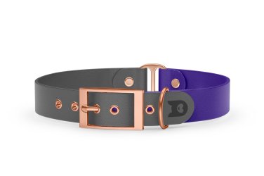 Obojek pro psa Duo - šedá / fialová s růžově zlatými komponenty