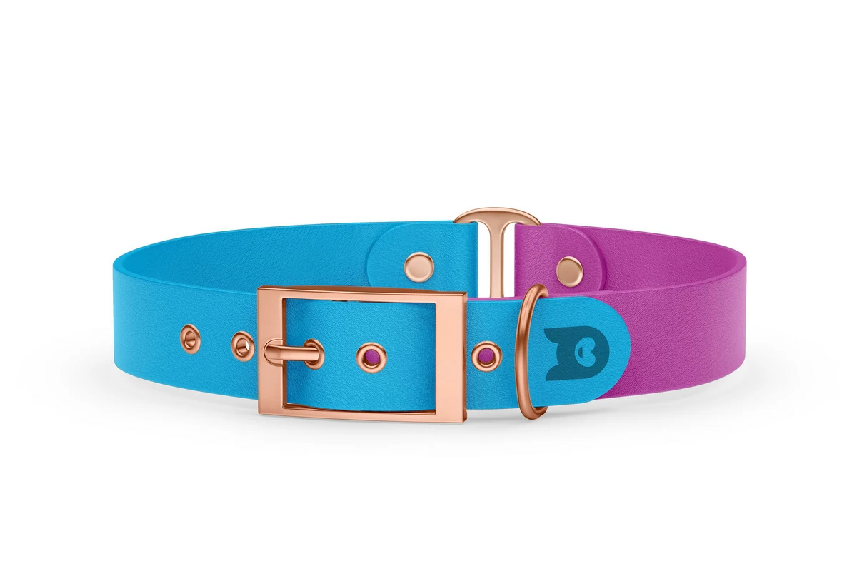 Obojek pro psa Duo - světle modrá / světle fialová s růžově zlatými komponenty