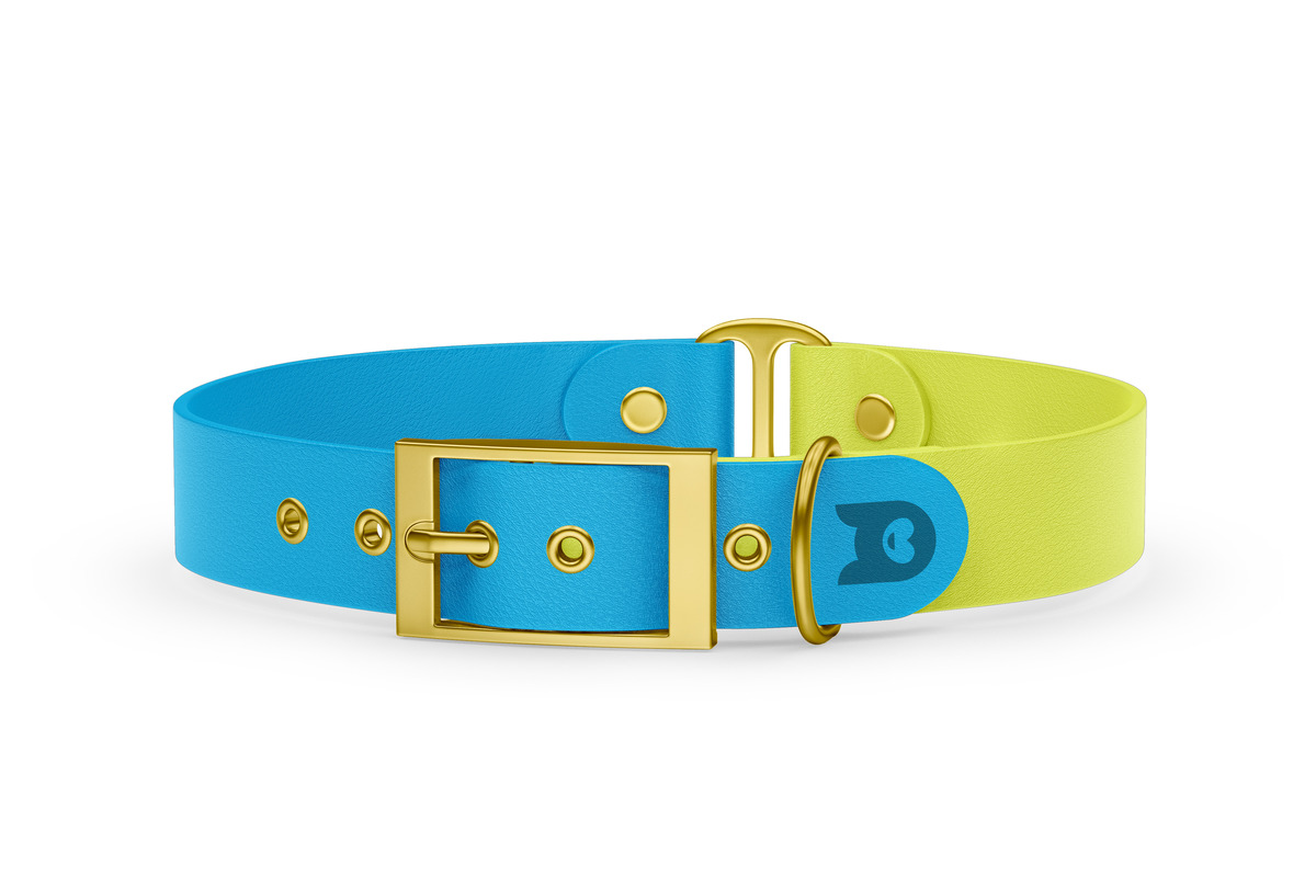 Obojek pro psa Duo - světle modrá / neonově žlutá se zlatými komponenty