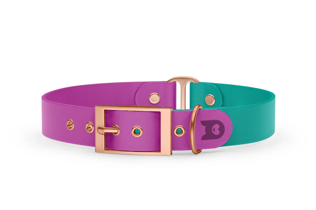 Obojek pro psa Duo - světle fialová / pastelově zelená s růžově zlatými komponenty