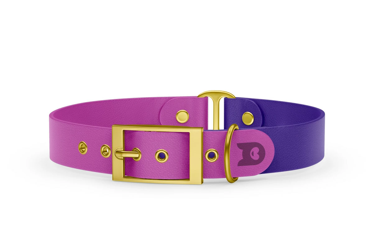 Obojek pro psa Duo - světle fialová / fialová se zlatými komponenty