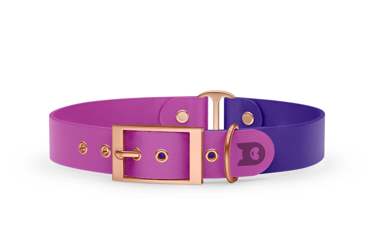 Obojek pro psa Duo - světle fialová / fialová s růžově zlatými komponenty