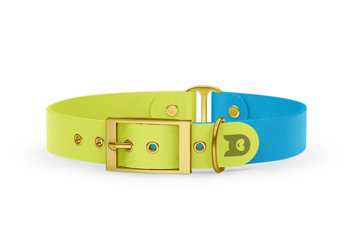 Obojek pro psa Duo - neonově žlutá / světle modrá se zlatými komponenty