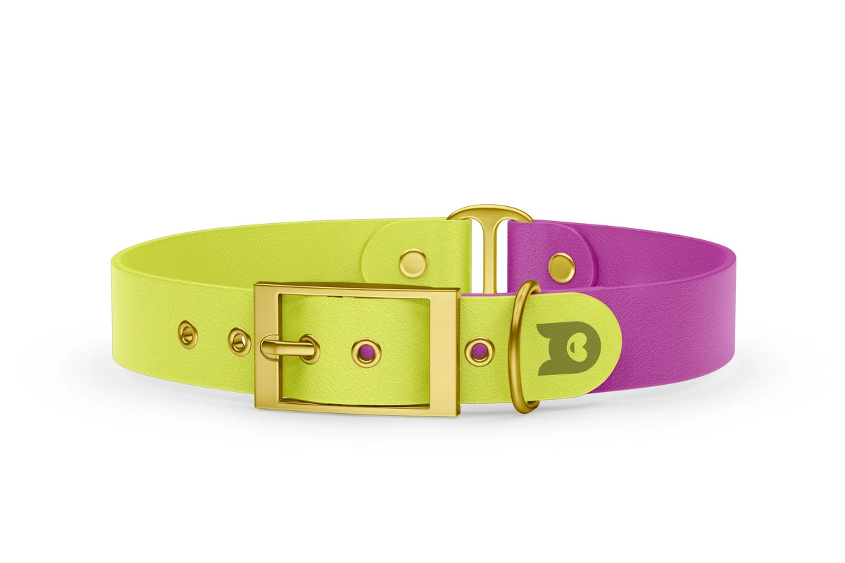 Obojek pro psa Duo - neonově žlutá / světle fialová se zlatými komponenty