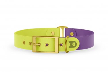 Obojek pro psa Duo - neonově žlutá / purpurová se zlatými komponenty