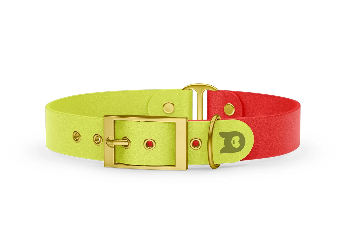 Obojek pro psa Duo - neonově žlutá / červená se zlatými komponenty