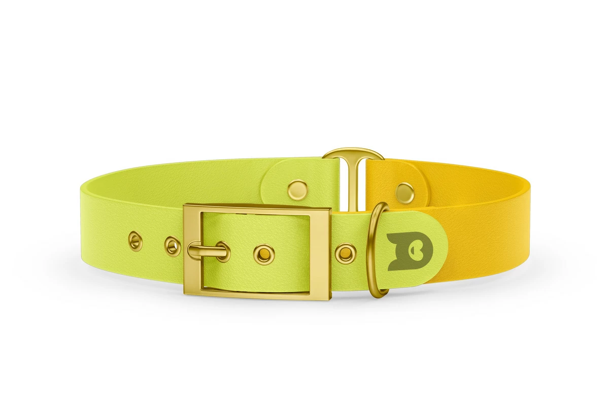 Obojek pro psa Duo - neonově žlutá / žlutá se zlatými komponenty