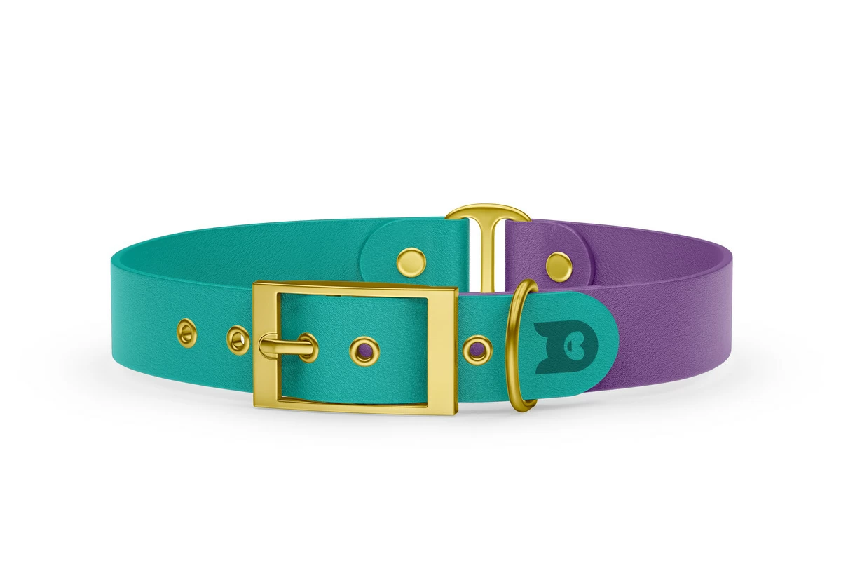 Obojek pro psa Duo - pastelově zelená / purpurová se zlatými komponenty