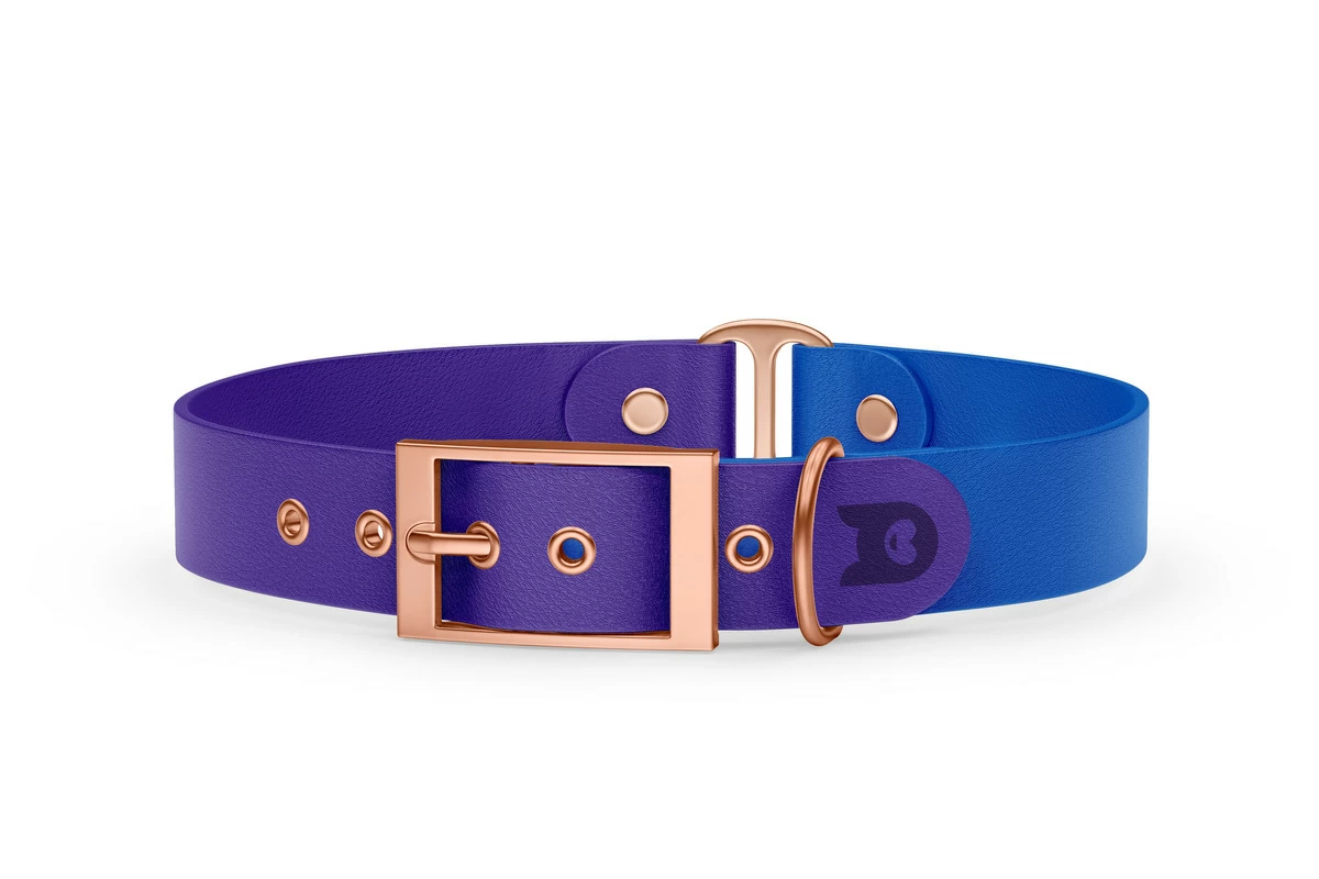 Obojek pro psa Duo - fialová / modrá s růžově zlatými komponenty