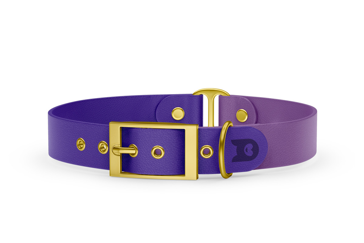 Obojek pro psa Duo - fialová / purpurová se zlatými komponenty