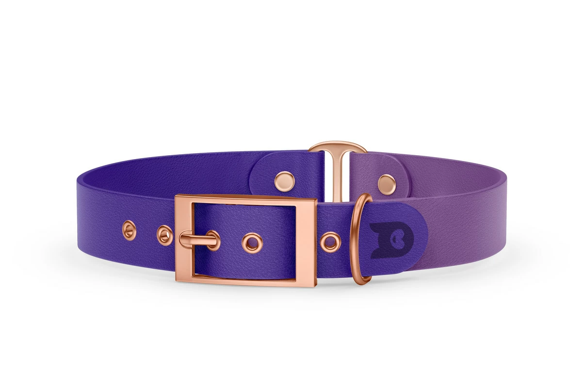 Obojek pro psa Duo - fialová / purpurová s růžově zlatými komponenty