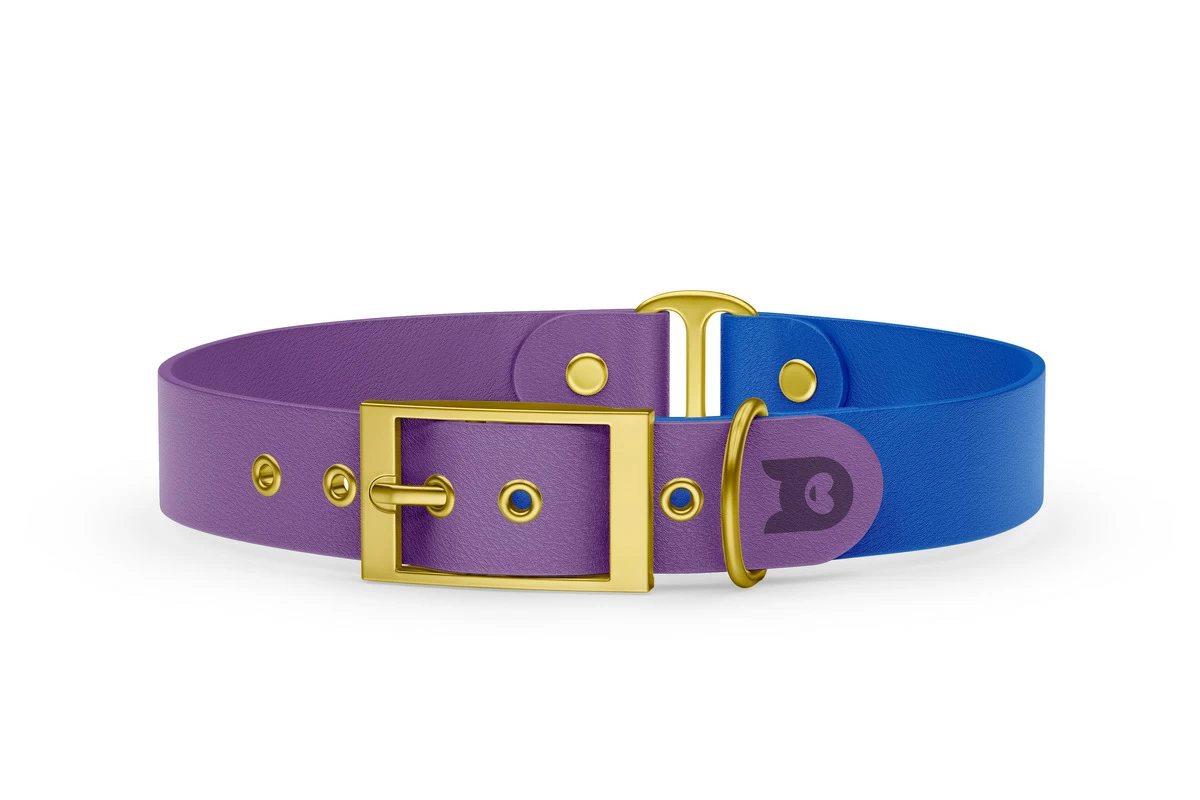Obojek pro psa Duo - purpurová / modrá se zlatými komponenty