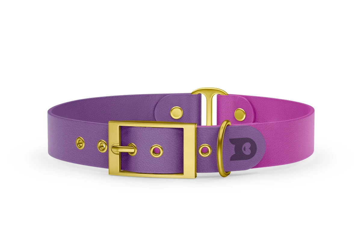 Obojek pro psa Duo - purpurová / světle fialová se zlatými komponenty