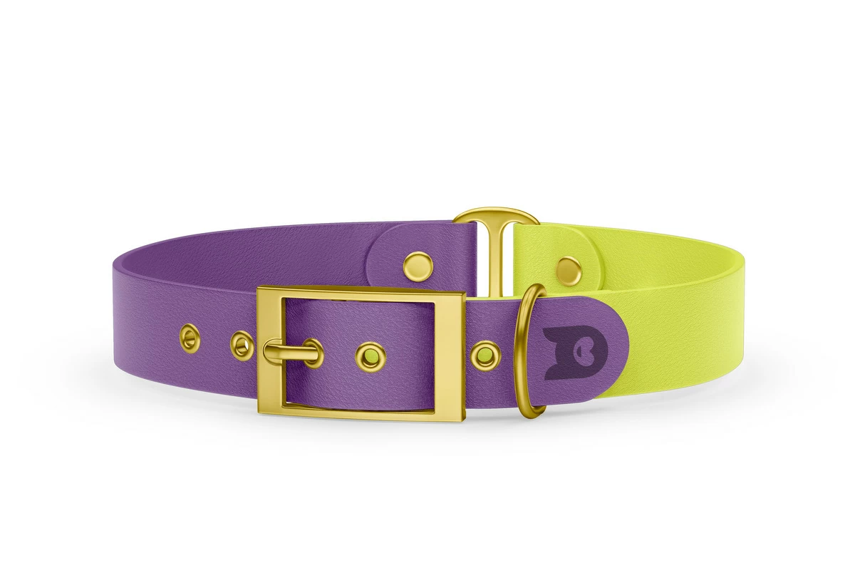 Obojek pro psa Duo - purpurová / neonově žlutá se zlatými komponenty