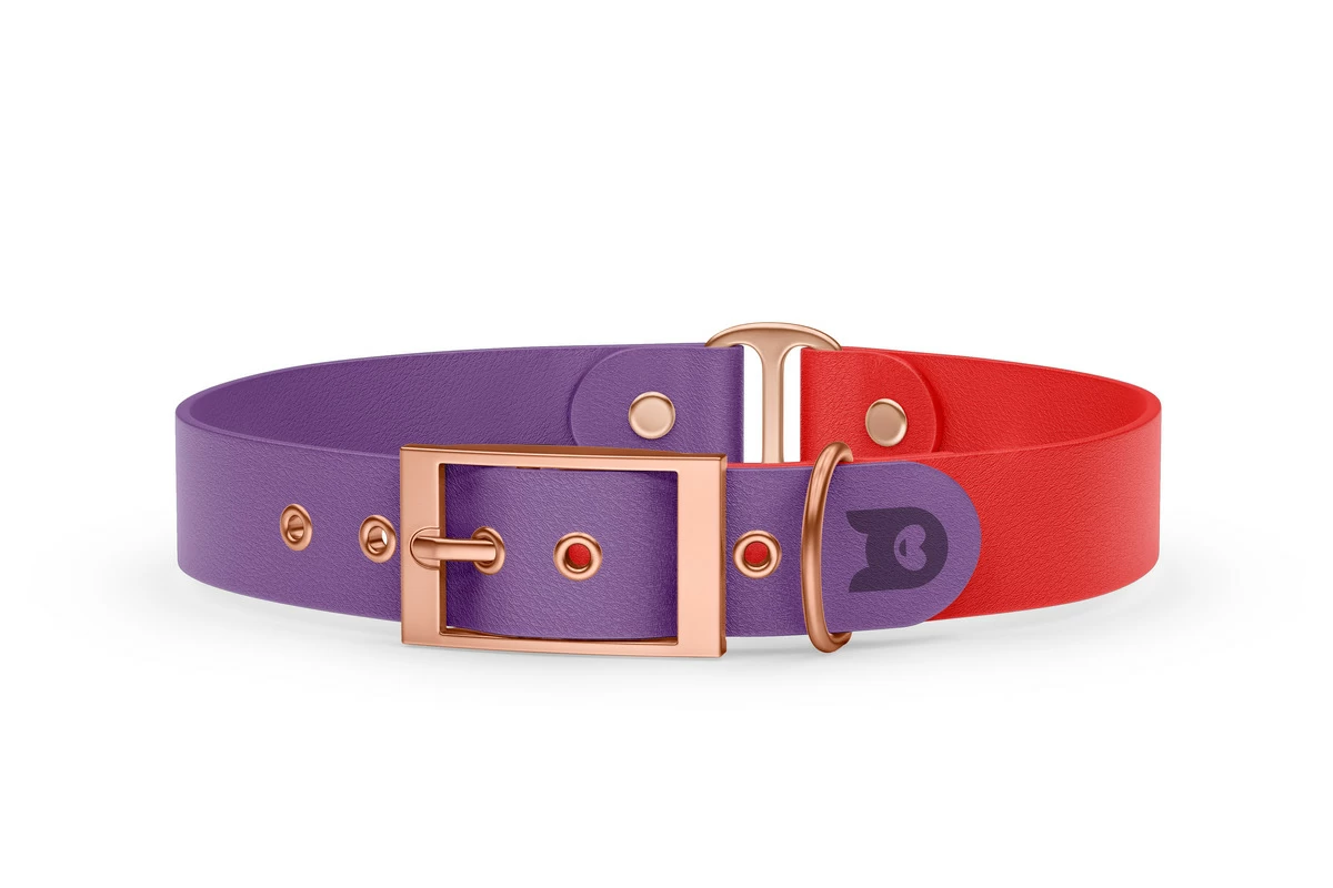 Obojek pro psa Duo - purpurová / červená s růžově zlatými komponenty