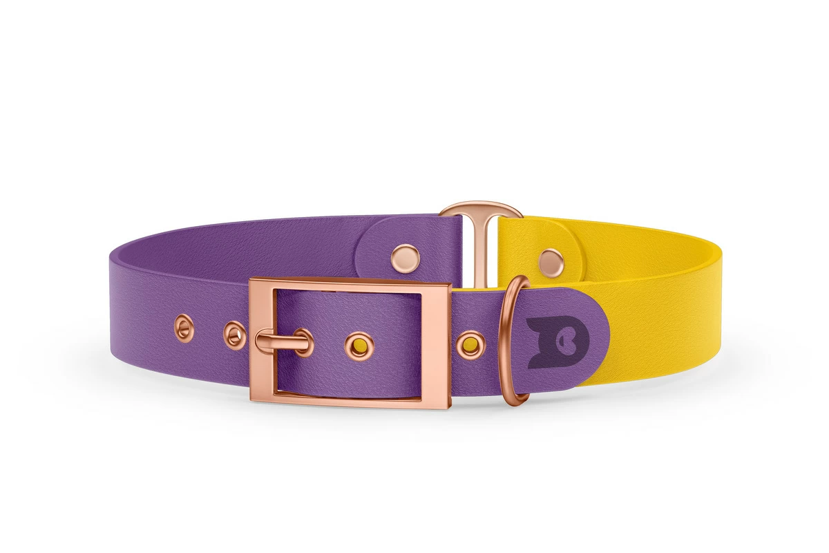 Obojek pro psa Duo - purpurová / žlutá s růžově zlatými komponenty