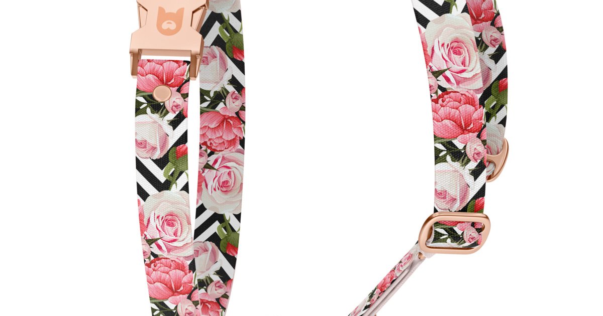 Dog harness Collection Roses Obodog