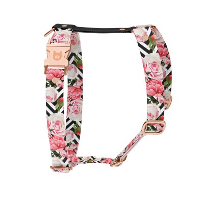 Postroj pro psa Collection Roses