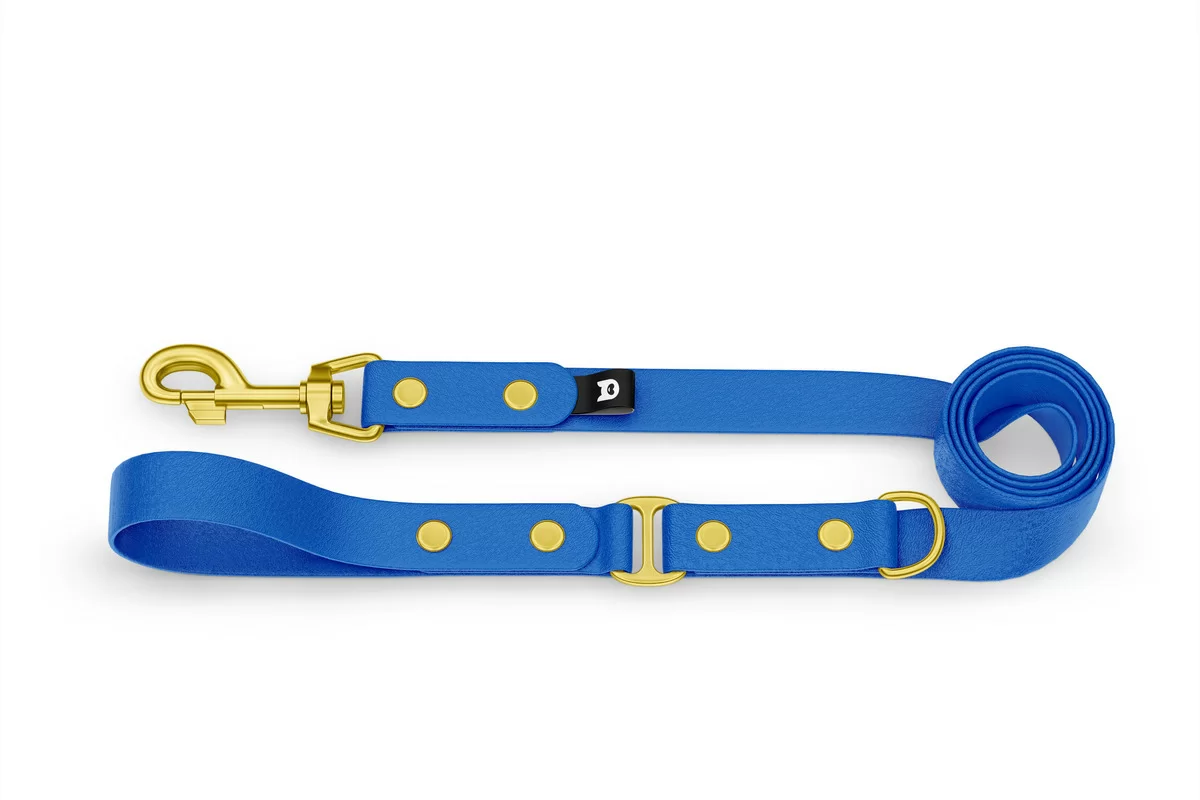 Vodítko pro psa Duo - modré / modré se zlatými komponenty