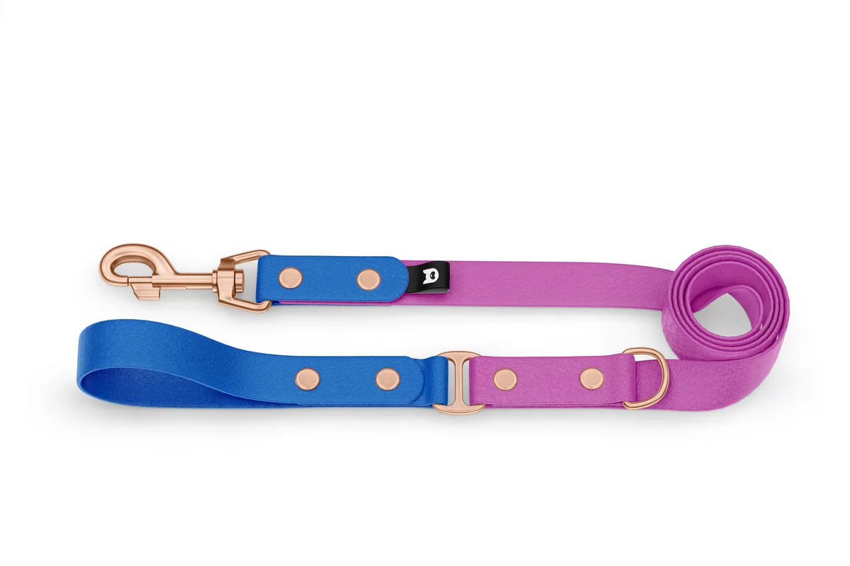 Vodítko pro psa Duo - modré / světle fialové s růžově zlatými komponenty