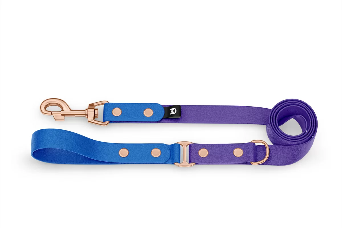 Vodítko pro psa Duo - modré / fialové s růžově zlatými komponenty