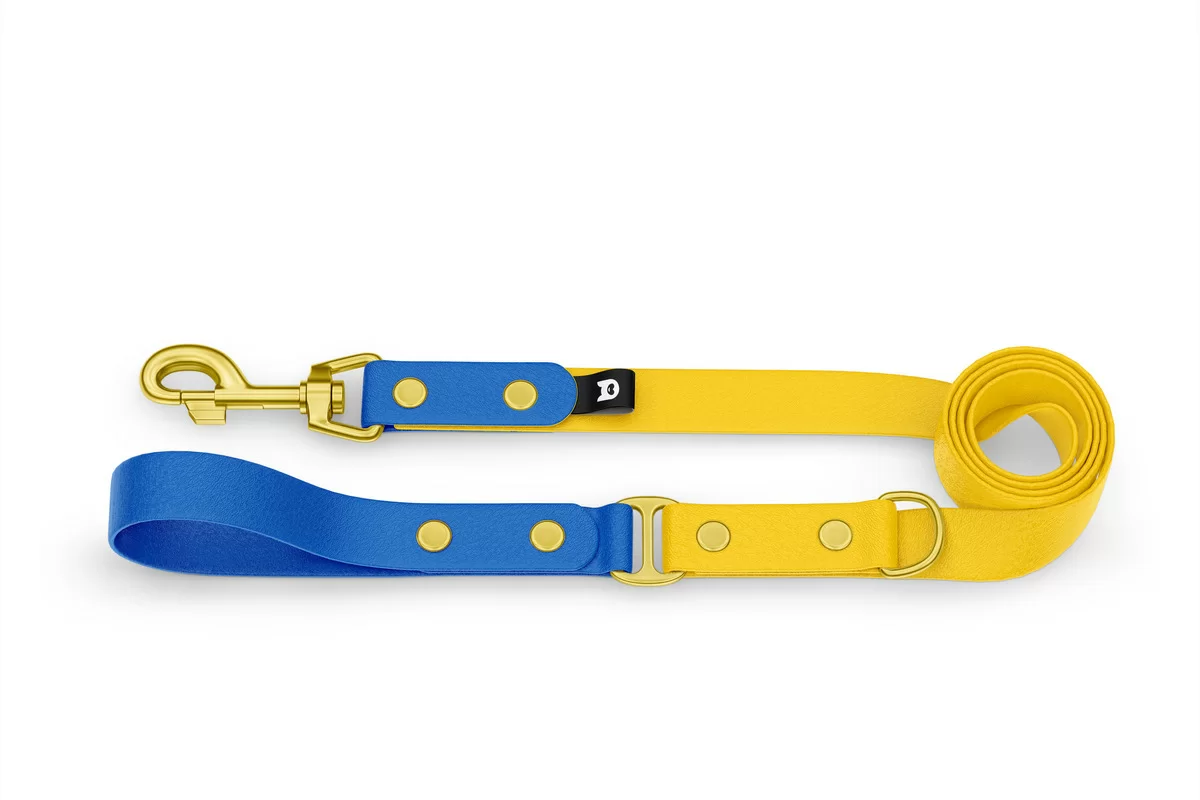 Vodítko pro psa Duo - modré / žluté se zlatými komponenty