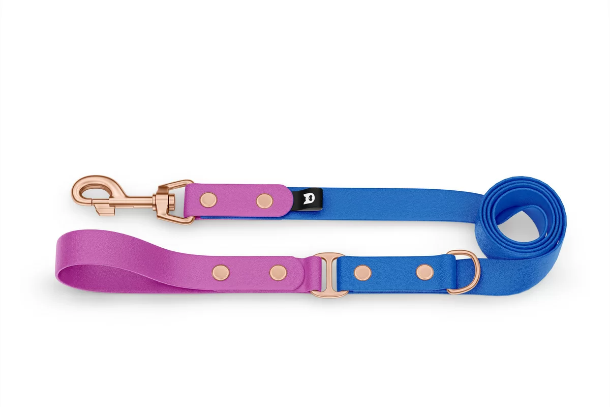 Vodítko pro psa Duo - světle fialové / modré s růžově zlatými komponenty