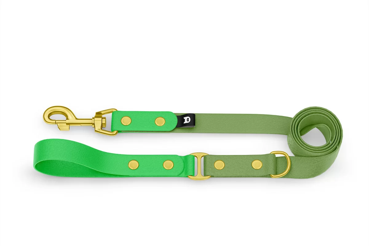 Vodítko pro psa Duo - neonově zelené / olivové se zlatými komponenty