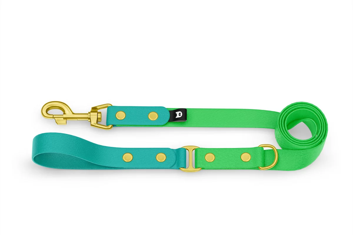 Vodítko pro psa Duo - pastelově zelené / neonově zelené se zlatými komponenty