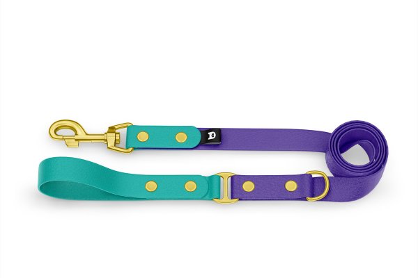 Vodítko pro psa Duo - pastelově zelené / purpurové se zlatými komponenty