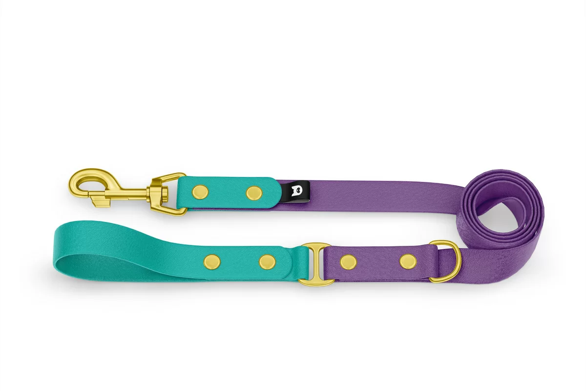 Vodítko pro psa Duo - pastelově zelené / purpurové se zlatými komponenty