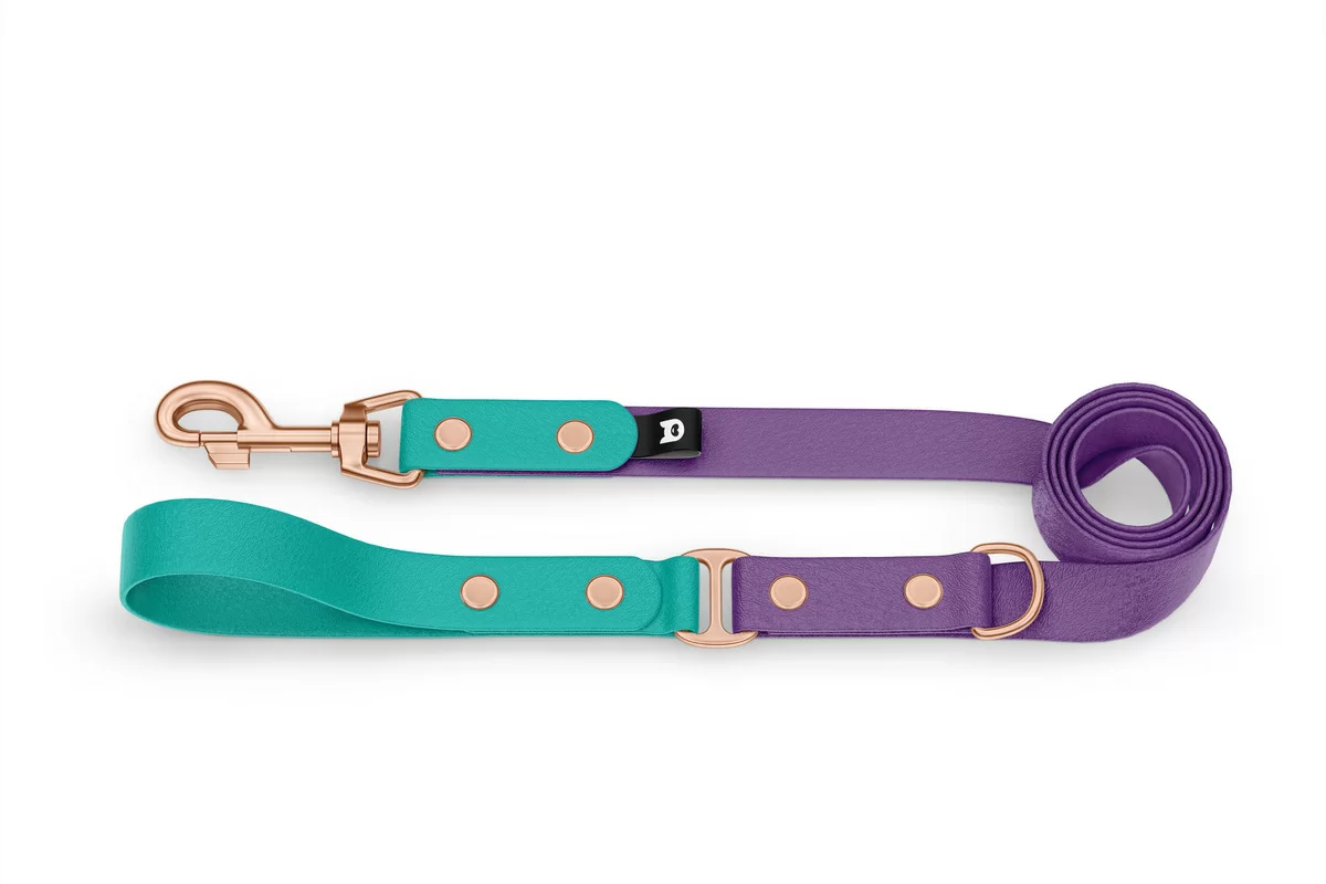 Vodítko pro psa Duo - pastelově zelené / purpurové s růžově zlatými komponenty