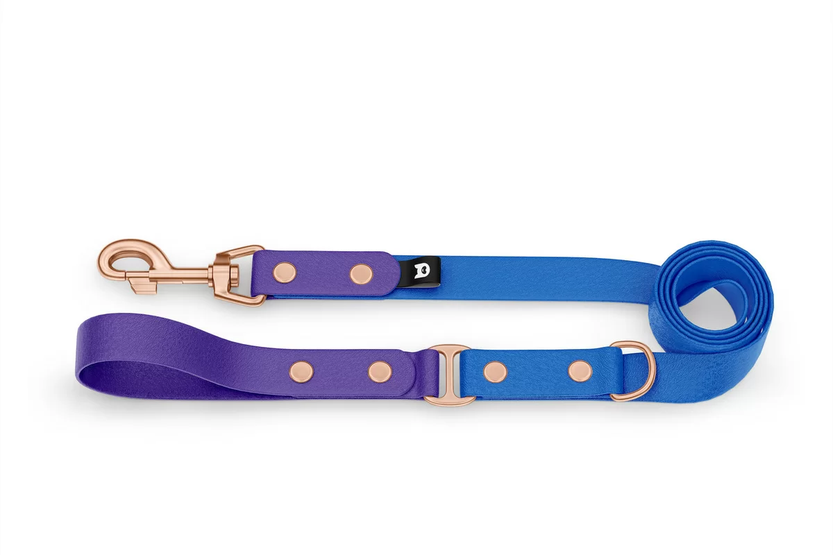 Vodítko pro psa Duo - fialové / modré s růžově zlatými komponenty