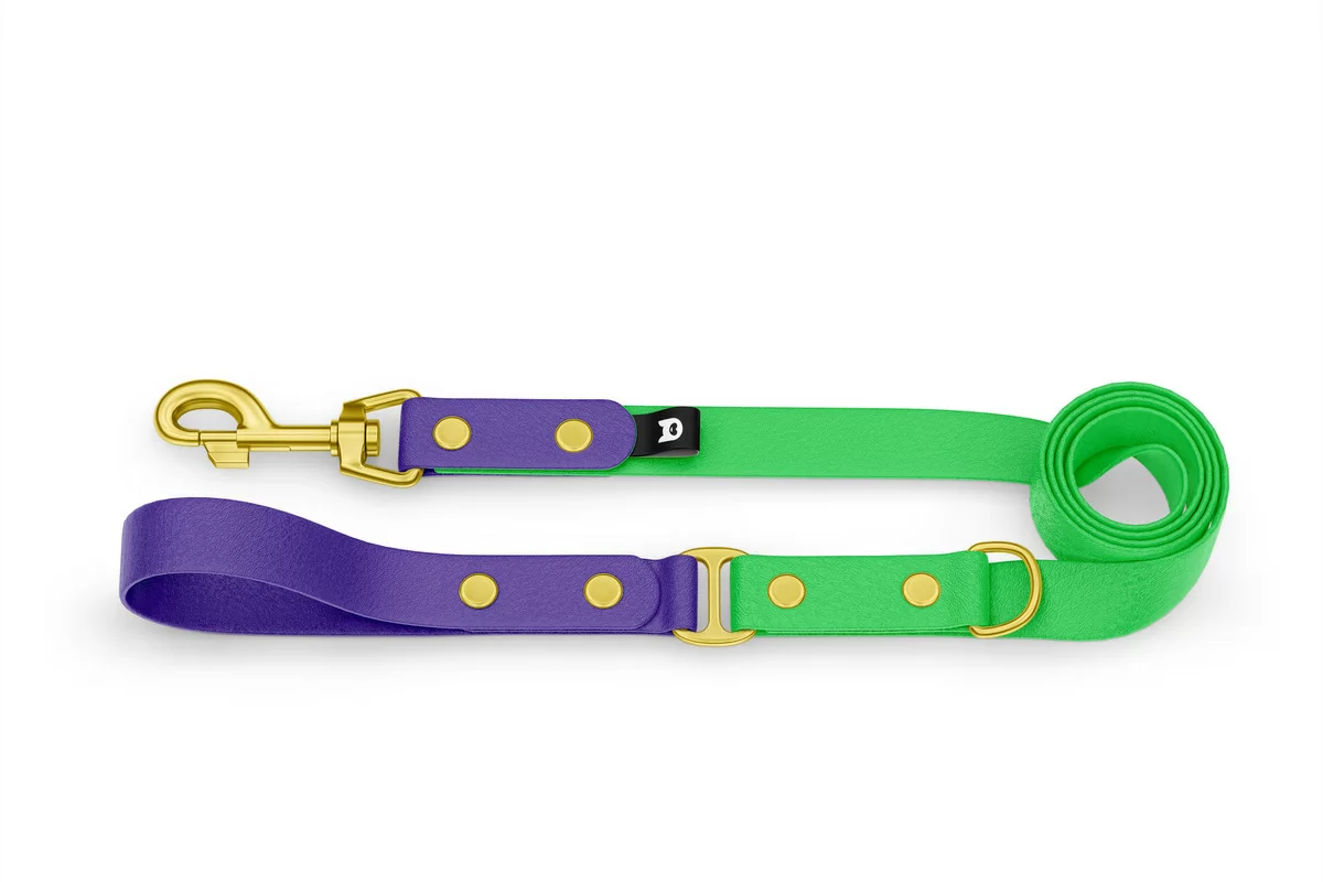 Vodítko pro psa Duo - fialové / neonově zelené se zlatými komponenty