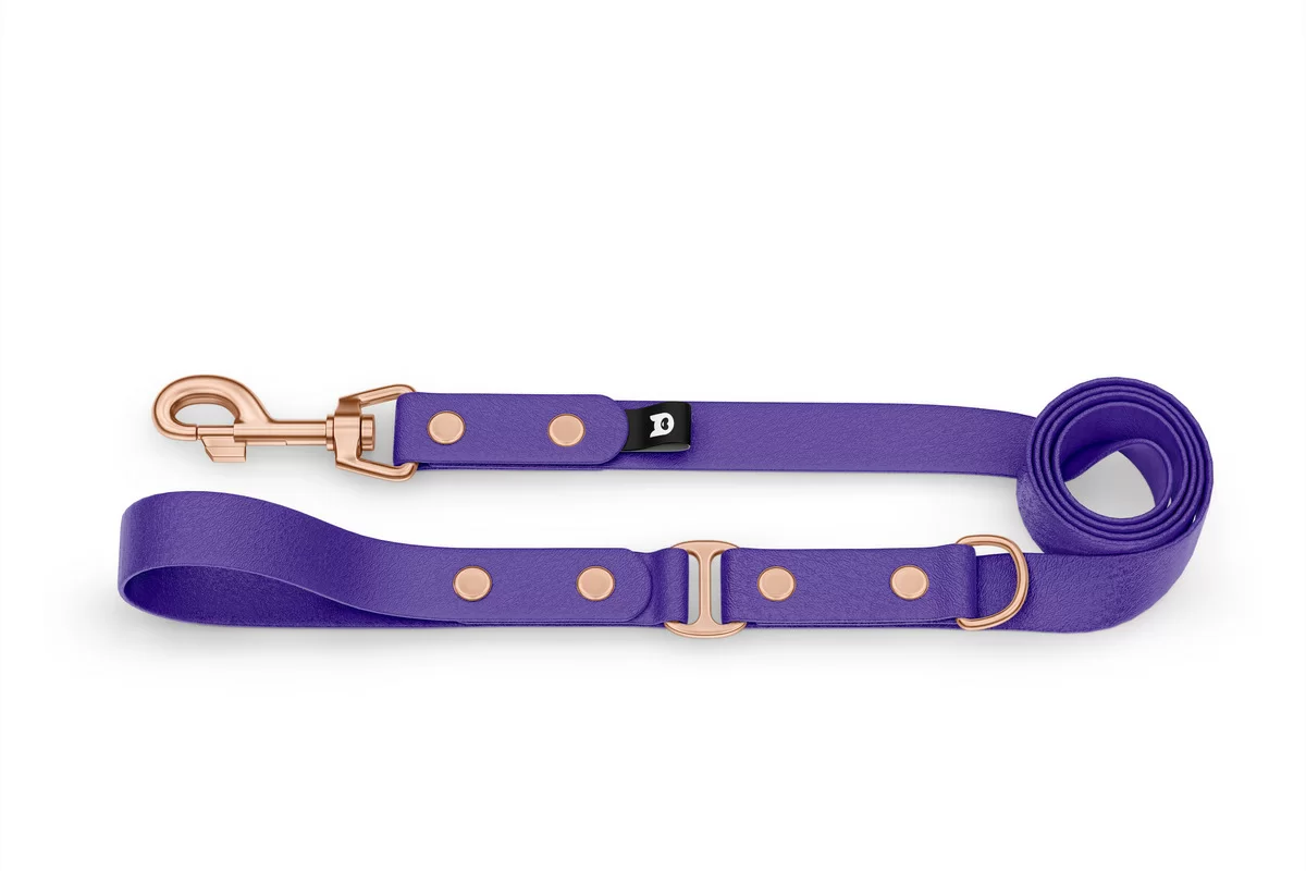 Vodítko pro psa Duo - fialové / fialové s růžově zlatými komponenty