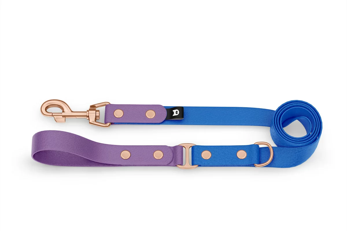 Vodítko pro psa Duo - purpurové / modré s růžově zlatými komponenty