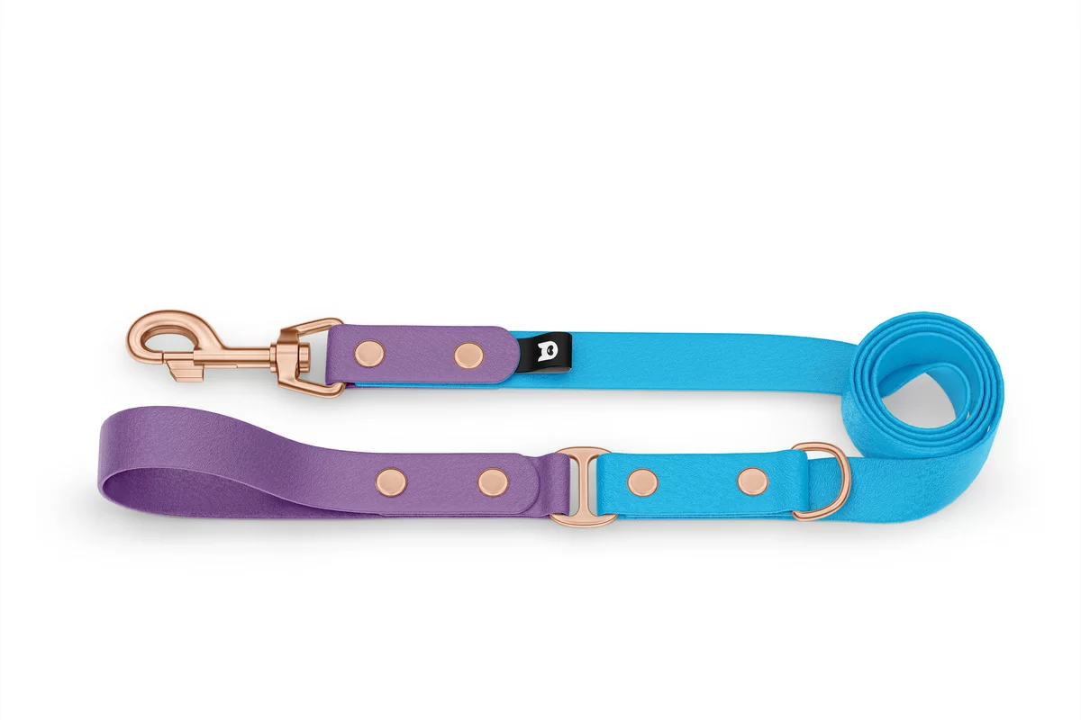 Vodítko pro psa Duo - purpurové / světle modré s růžově zlatými komponenty