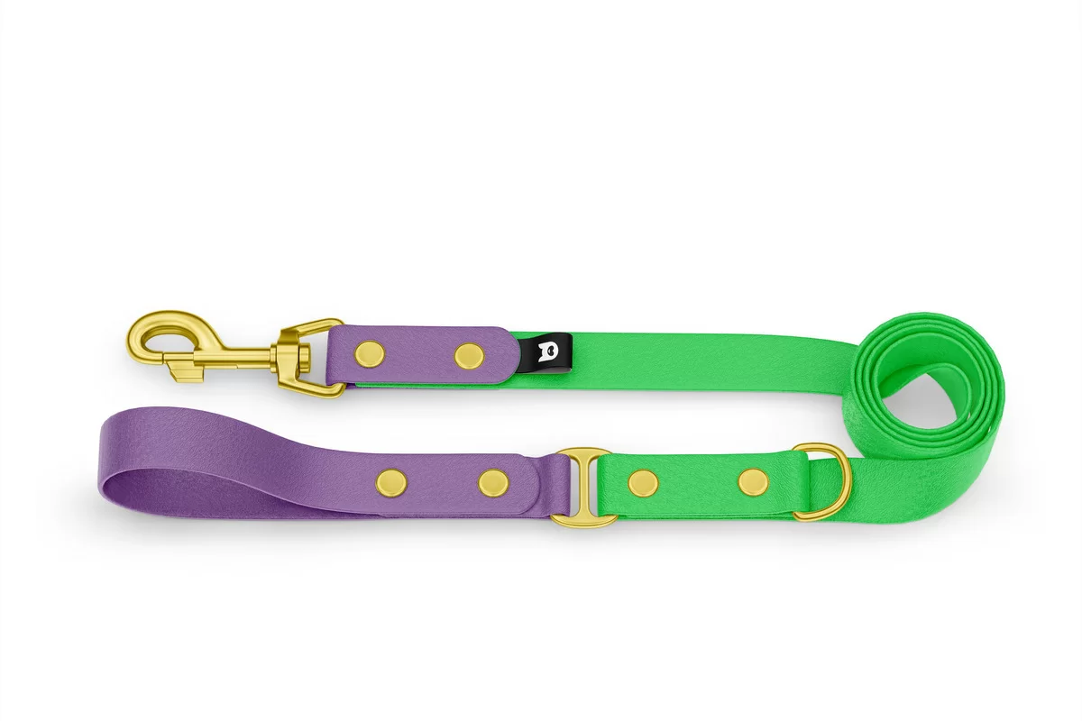 Vodítko pro psa Duo - purpurové / neonově zelené se zlatými komponenty