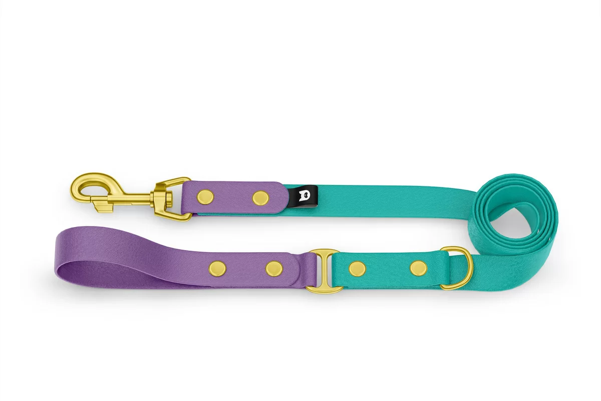 Vodítko pro psa Duo - purpurové / pastelově zelené se zlatými komponenty