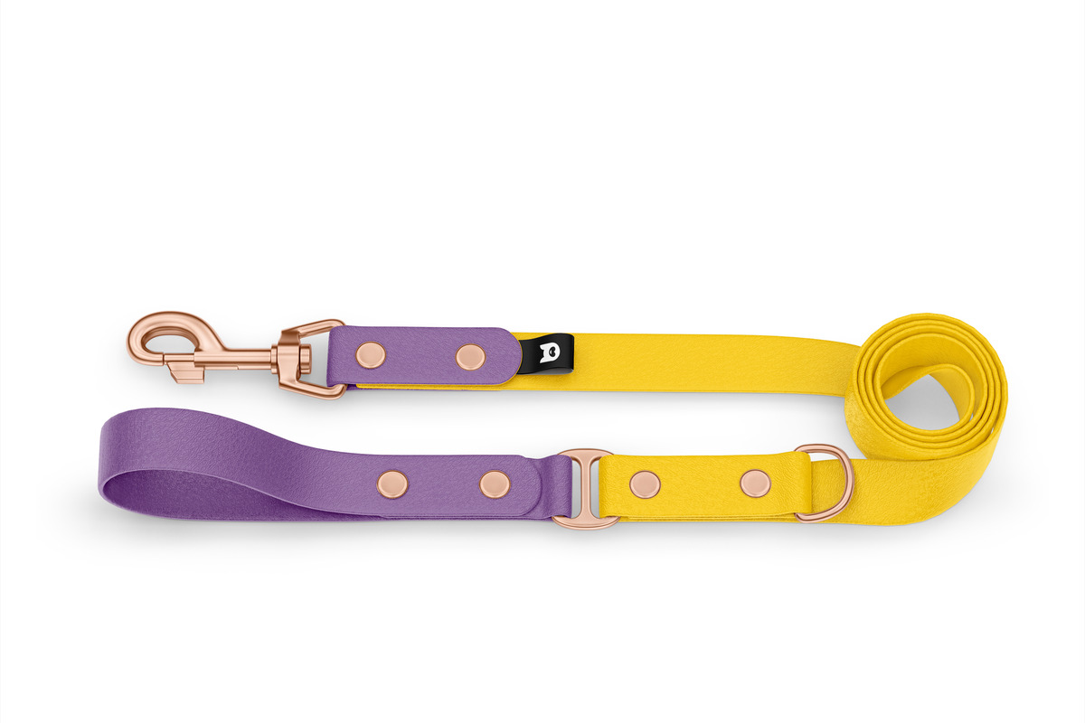 Vodítko pro psa Duo - purpurové / žluté s růžově zlatými komponenty