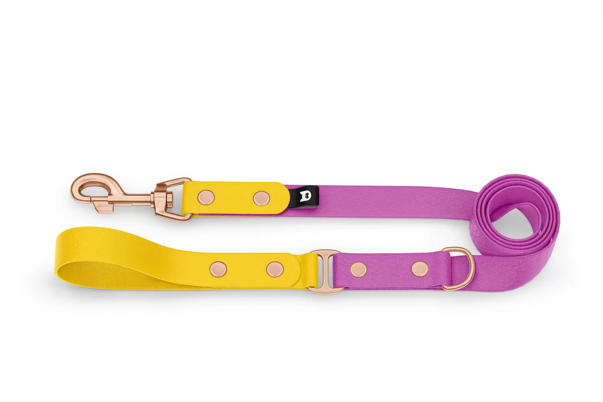Vodítko pro psa Duo - žluté / světle fialové s růžově zlatými komponenty