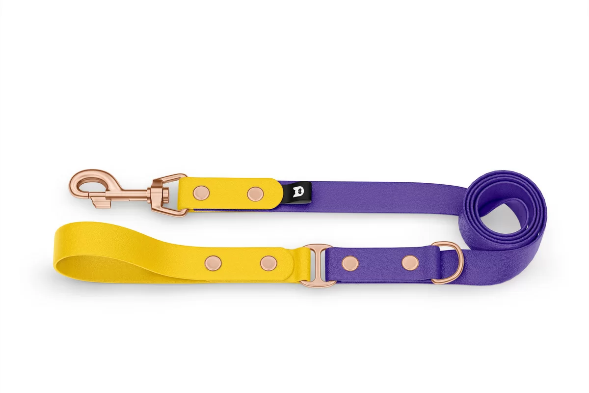 Vodítko pro psa Duo - žluté / fialové s růžově zlatými komponenty