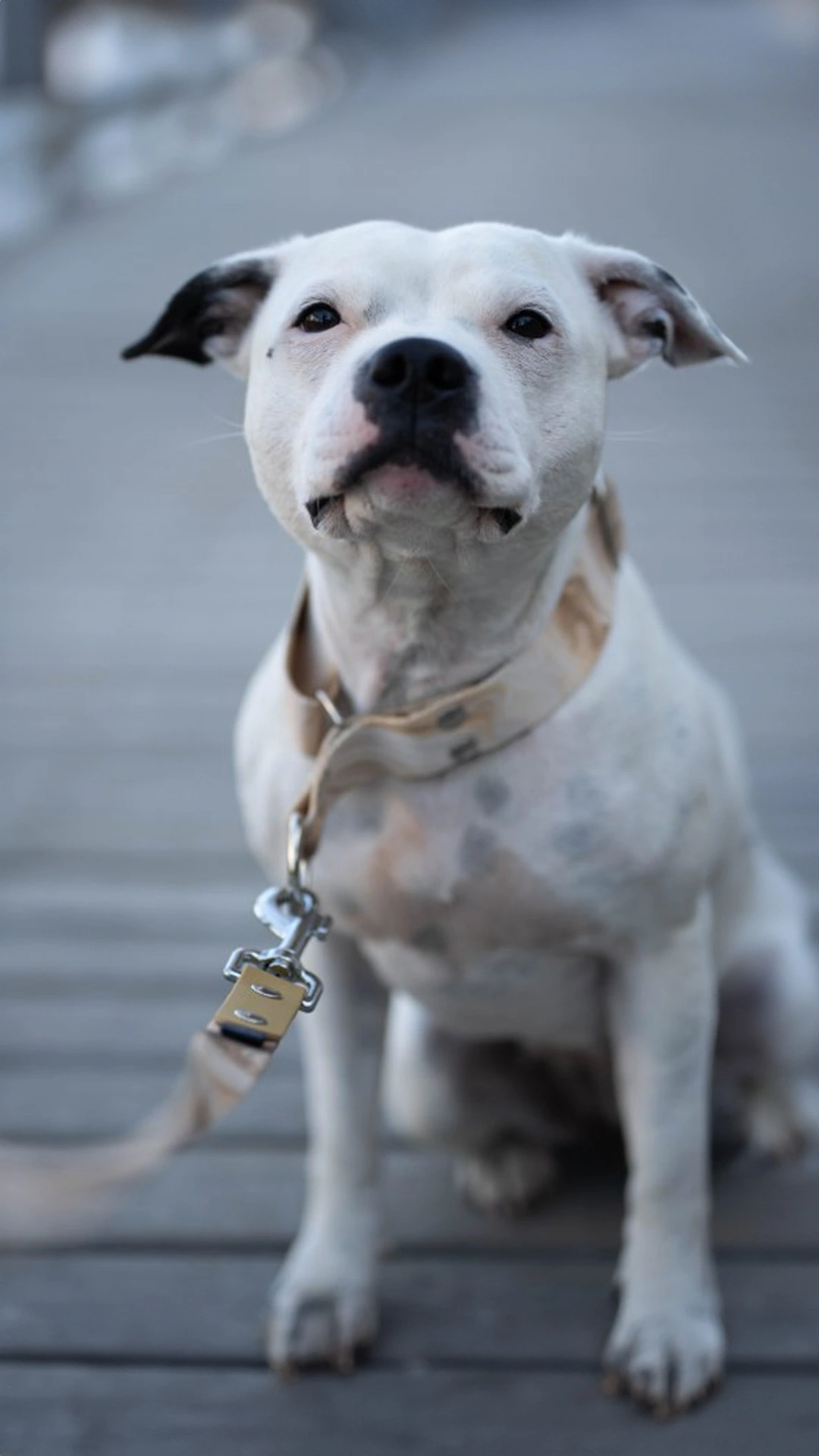 /images/photos/collections/cyl-aurora-2.jpg - CYL 2